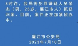 廉江今日爆料最新消息新闻,聚焦突发事件，揭秘背后真相