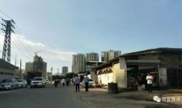 茂名违建最新爆料信息,揭秘背后利益链与整治行动进展