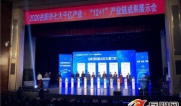 岳阳市最新爆料新闻报道,揭秘重大事件背后真相