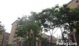 龙游龙湖湾小区最新爆料,揭秘神秘项目与周边发展动态