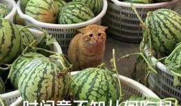 最新的瓜都在哪里爆料,揭秘最新爆料集中地